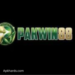pak win 88 game