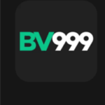 BV999 Game