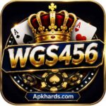 WGS456 Game
